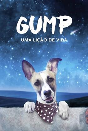 Gump: Uma Lição de Vida
